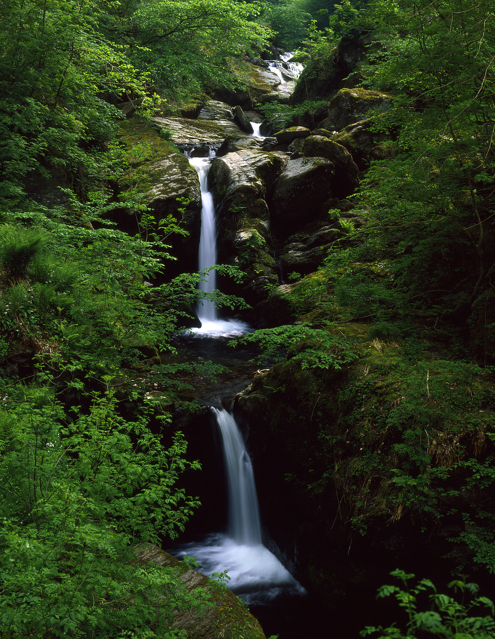 #87900-2 - Woodland Waterfalls, Watersmeet, Devon, England