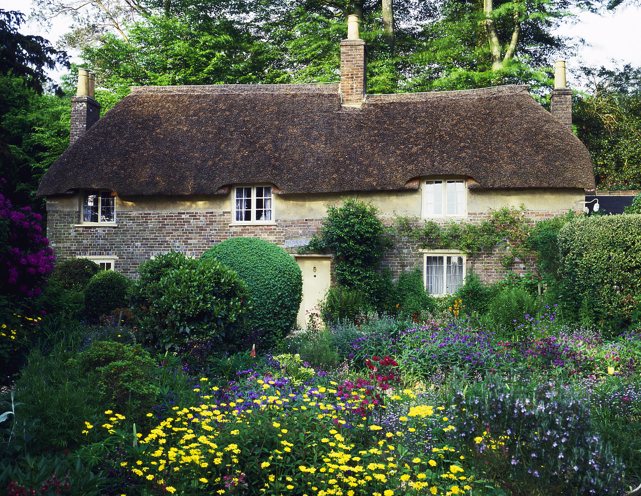 #87901-1 - Thomas Hardy's Cottage & Garden, Higher Bockhampton, Dorset, England