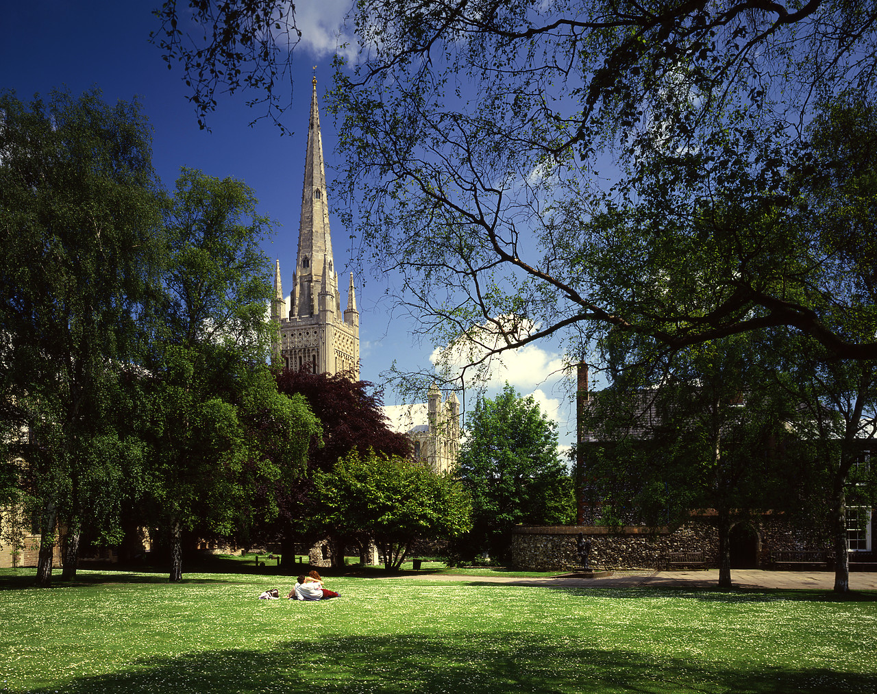 #87906-1 - Norwich Cathedral, Norfolk, England