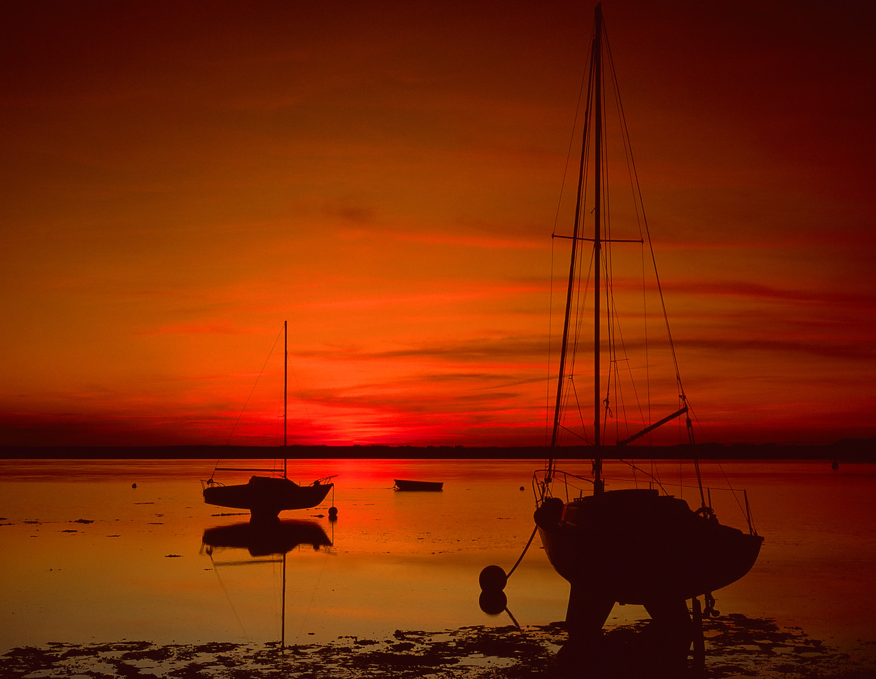 #881356-1 - Sailboats at Sunset, Menai Strait, Gwynedd, Wales