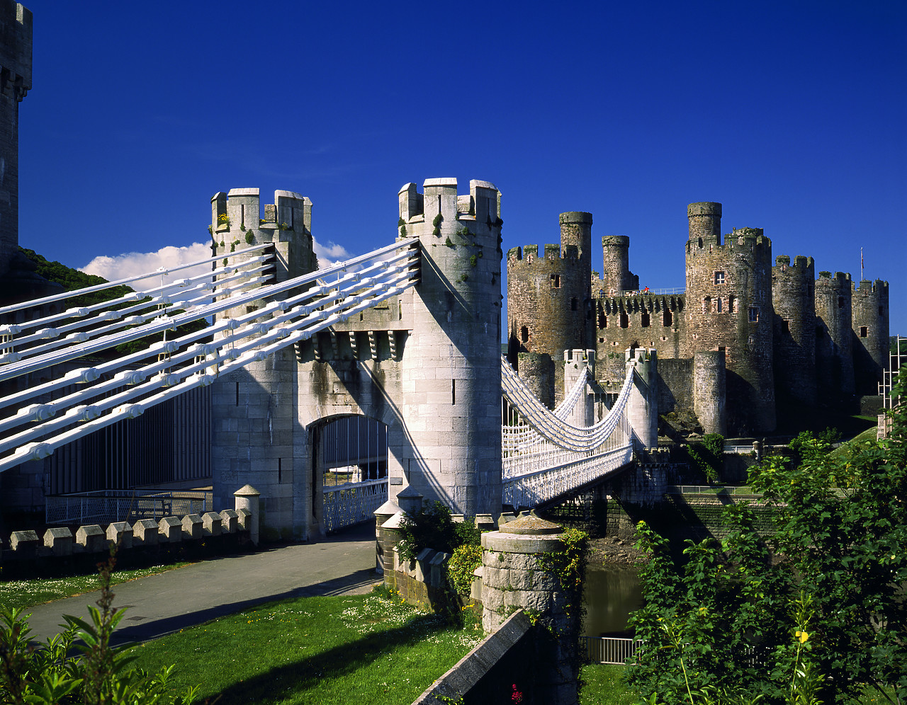 #881359-1 - Conwy Castle, Gwynedd, Wales