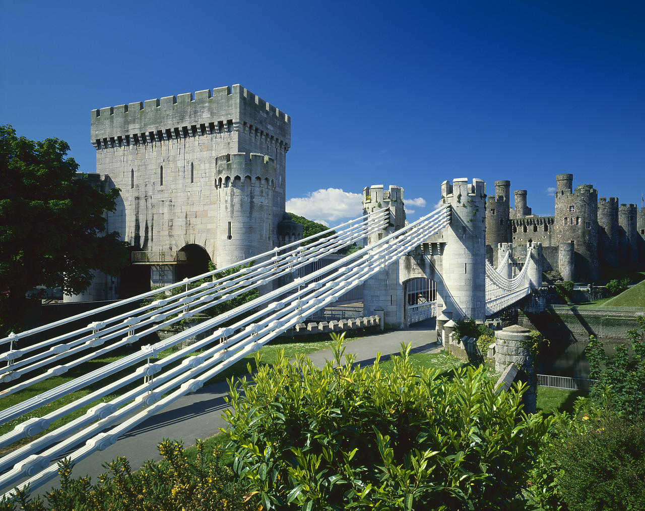 #881360-2 - Conwy Castle, Conwy, Gwynedd, Wales