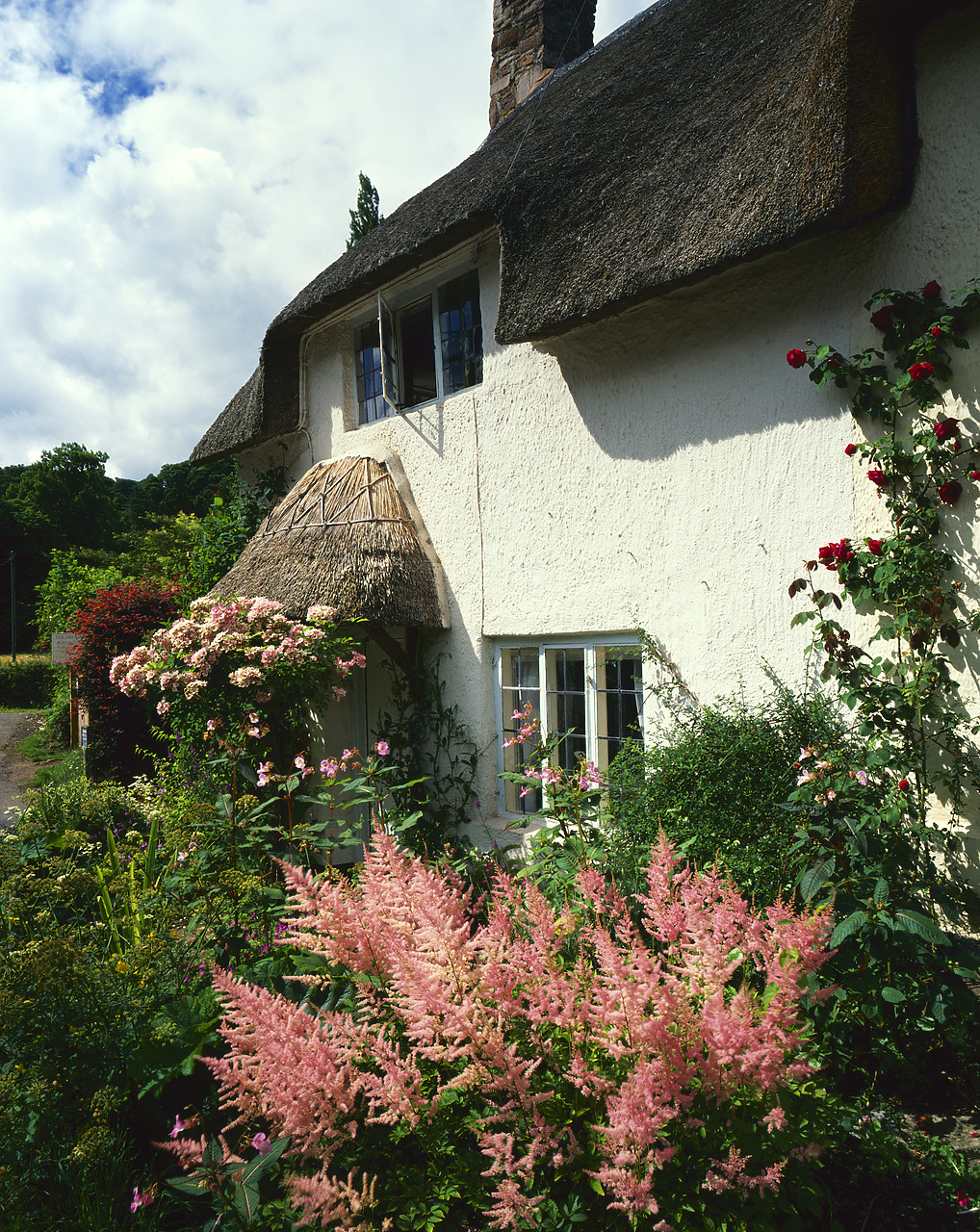 #881414 - Thatched Cottage & Garden, Dunster, Somerset, England