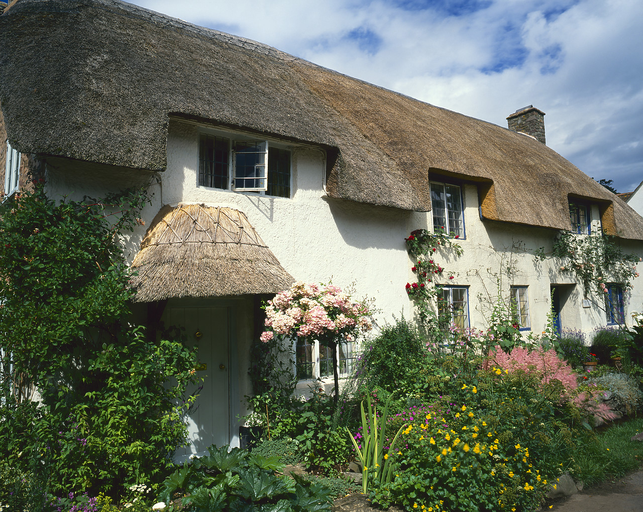 #881416 - Thatched Cottage & Garden, Dunster, Somerset, England