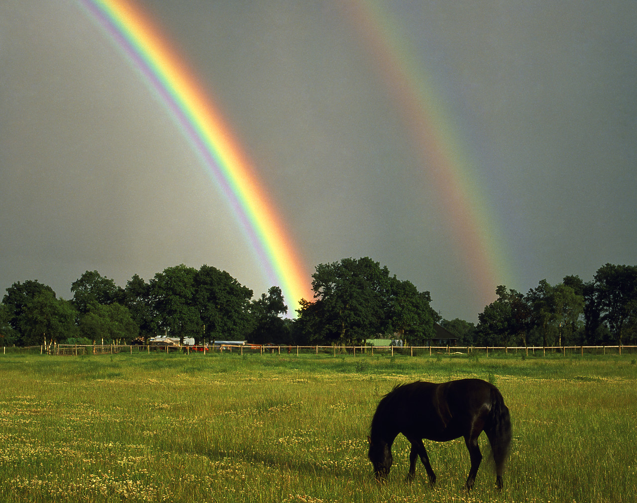 #881453-2 - Black Horse & Rainbow, Norfolk, England