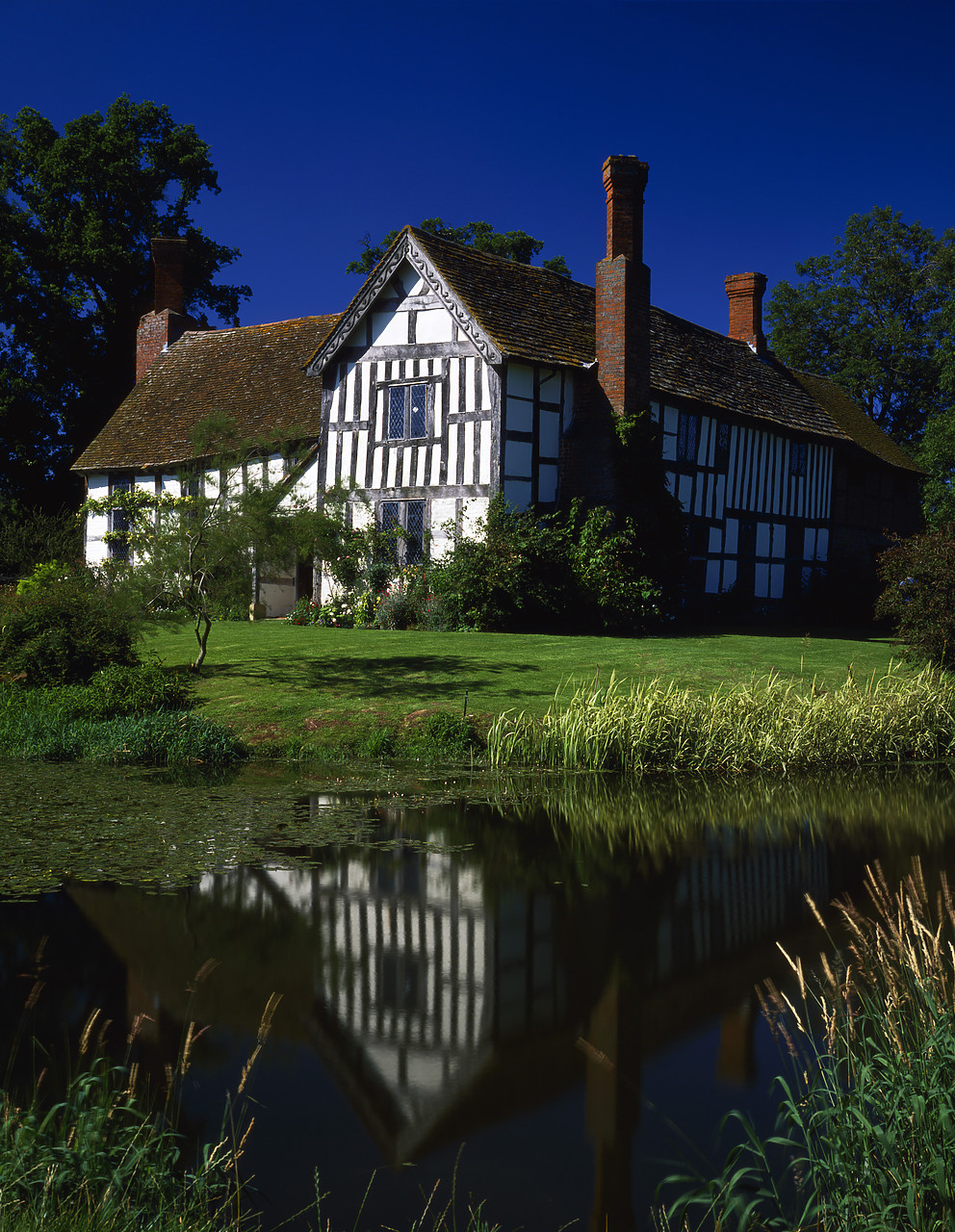 #881507-4 - Half-Timbered Manor House, Lower Brockhampton, Hereford & Worcester, England