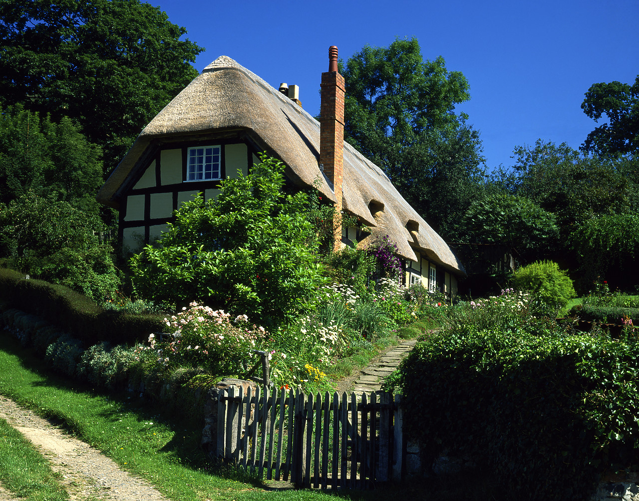 #881510 - Thatched Cottage & Garden, Eastnor, Herefordshire, England