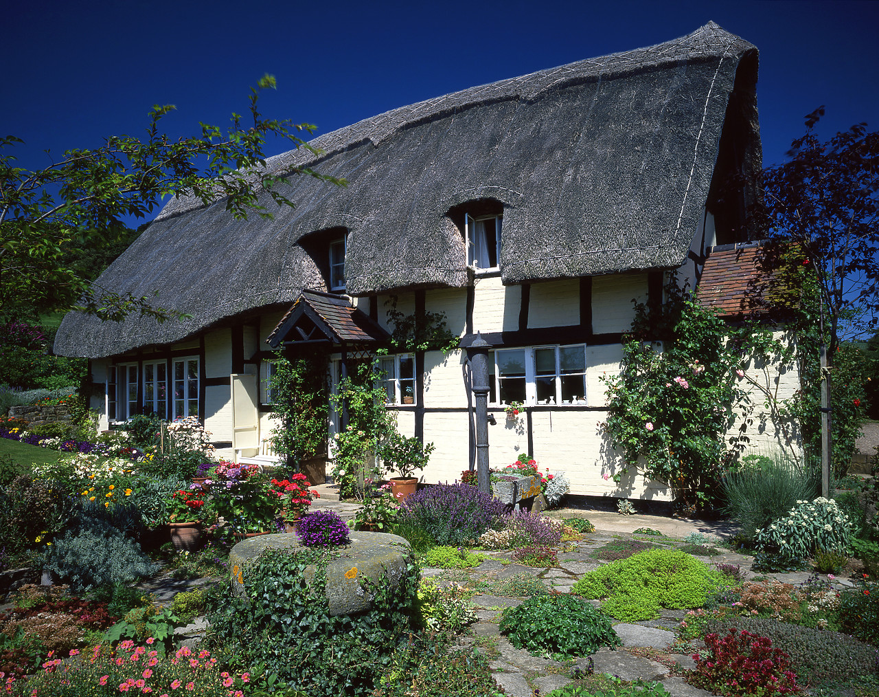 #881516-1 - Thatched Cottage & Garden, Eastnor, Herefordshire, England