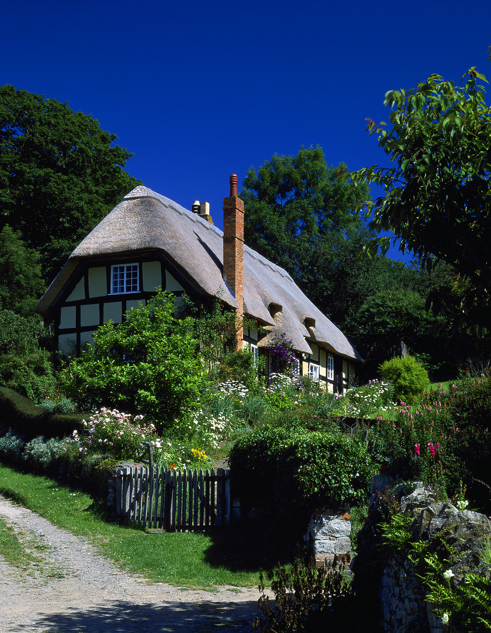#881518-2 - Thatched Cottage, Eastnor, Herefordshire, England