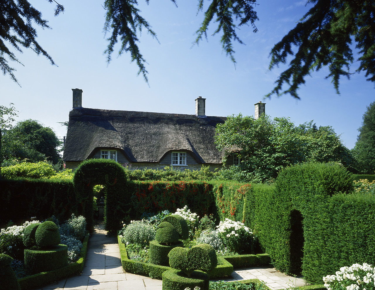 #881529-1 - The White Garden, Hidcote Manor Gardens, Gloucestershire, England