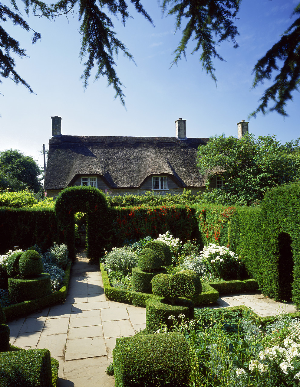 #881529-2 - The White Garden, Hidcote Manor Gardens, Gloucestershire, England