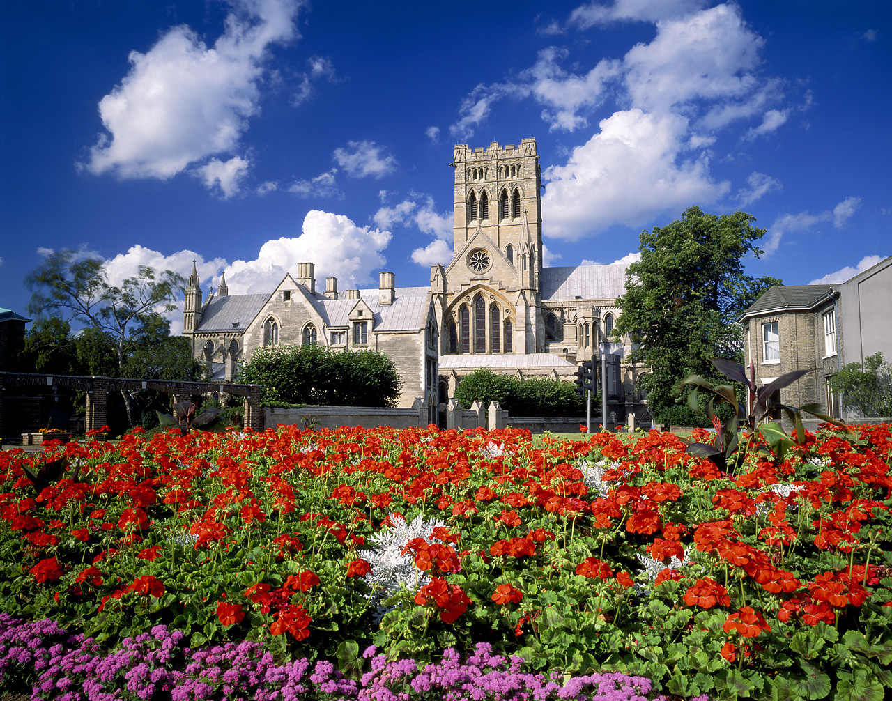 #881547-1 - Roman Catholic Cathedral, Norwich, Norfolk, England
