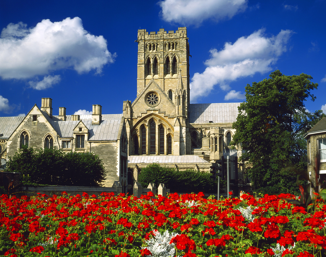 #881547-2 - Roman Catholic Cathedral, Norwich, Norfolk, England