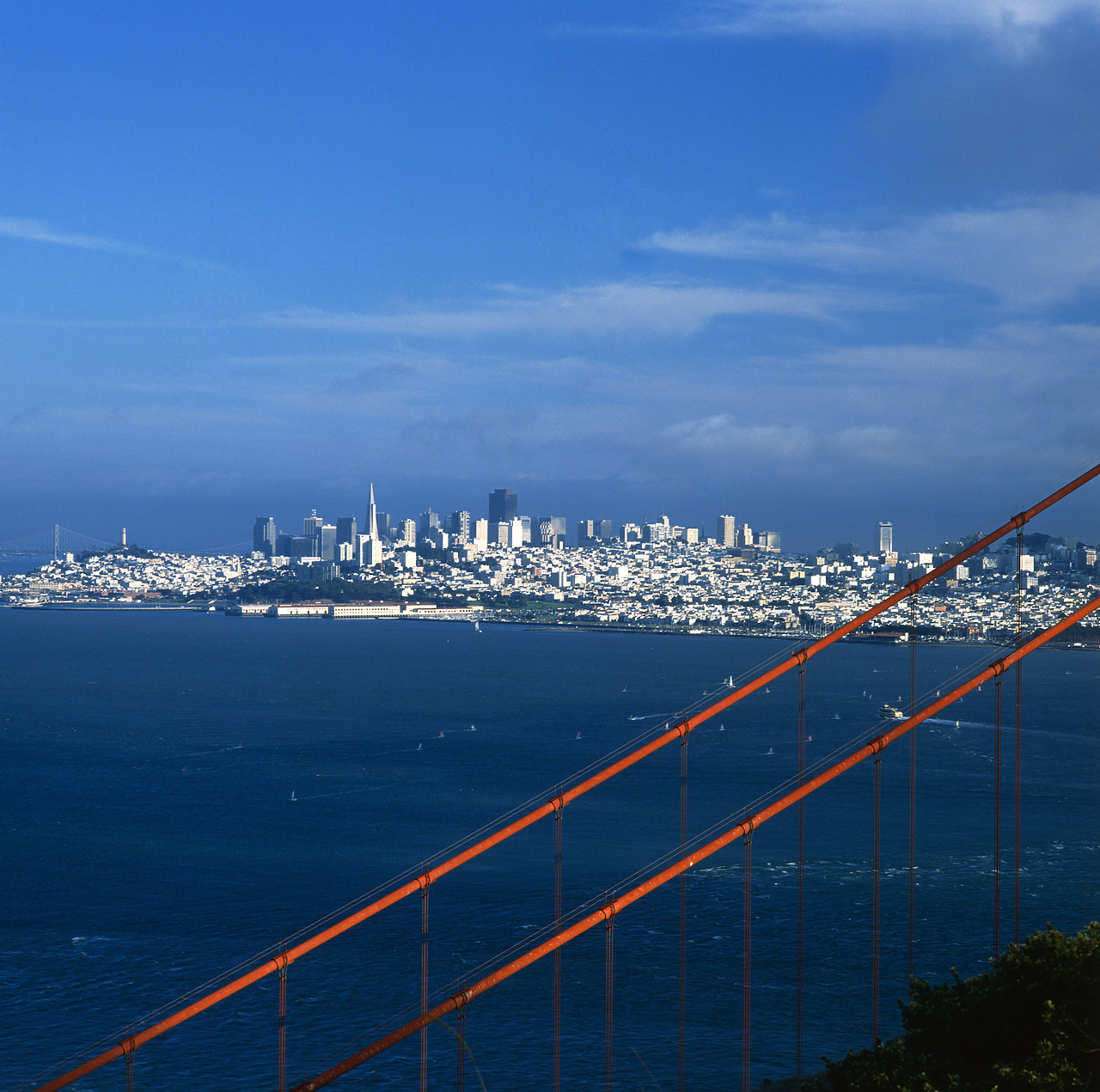 #881586-2 - San Francisco Skyline, California, USA