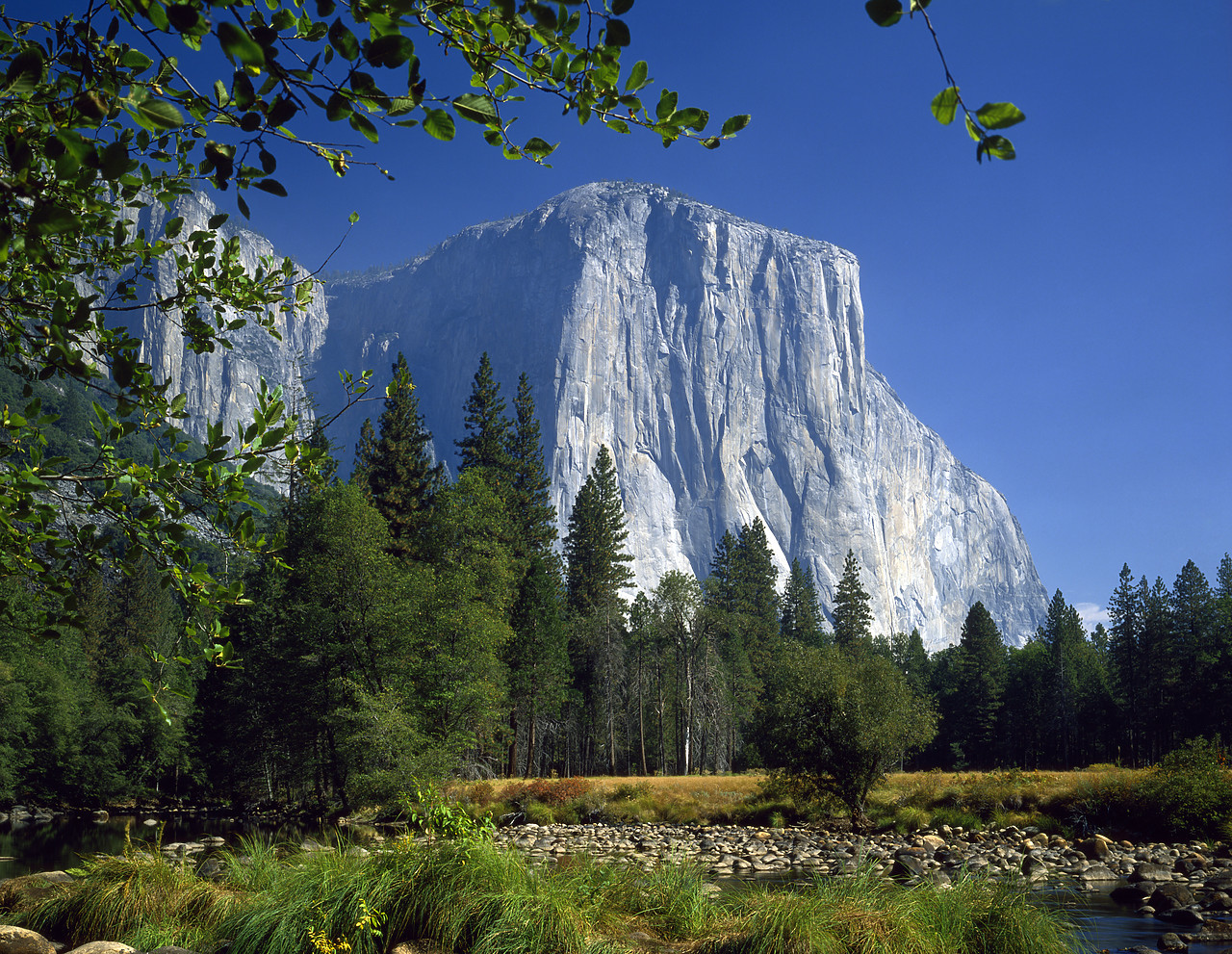 #881596-1 - El Capitan, Yosemite National Park, California, USA