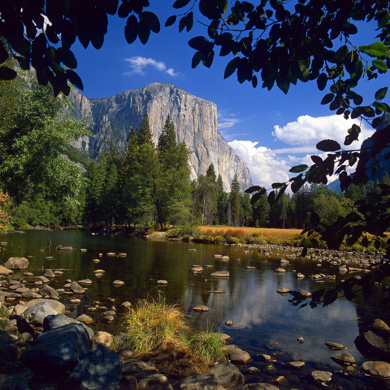 #881598-2 - El Capitan Reflecting in Merced River, Yosemite National Park, California, USA
