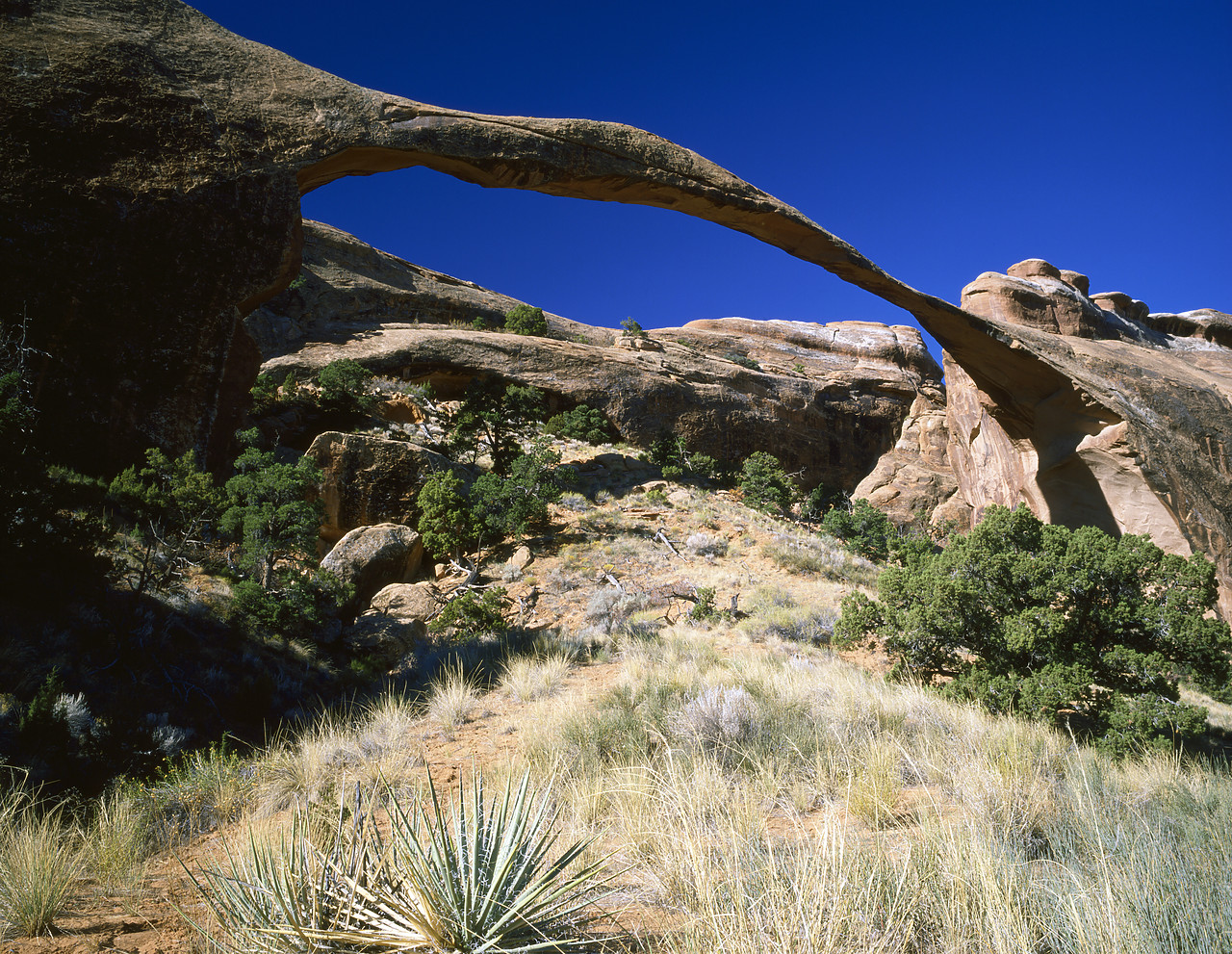 #881632-1 - Landscape Arch, Arches National Park, Utah, USA