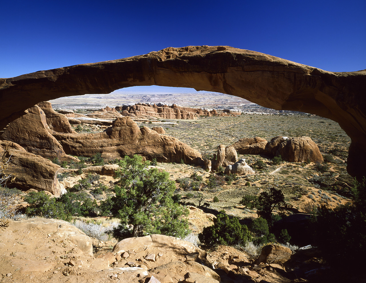 #881633-1 - Landscape Arch, Arches National Park, Utah, USA