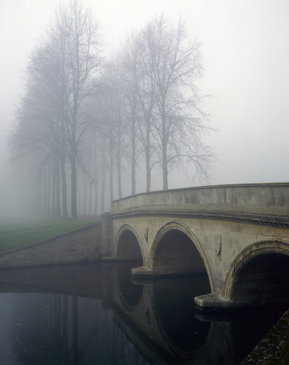 #881792-1 - Bridge & Poplars in Fog, Cambridge, Cambridgeshire, England