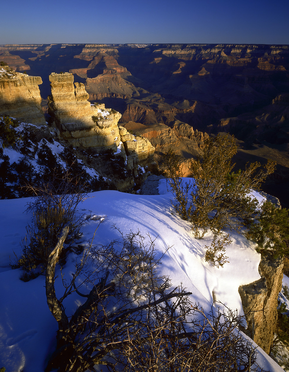 #891877-4 - Yavapai Point in Winter, Grand Canyon National Park, Arizona, USA