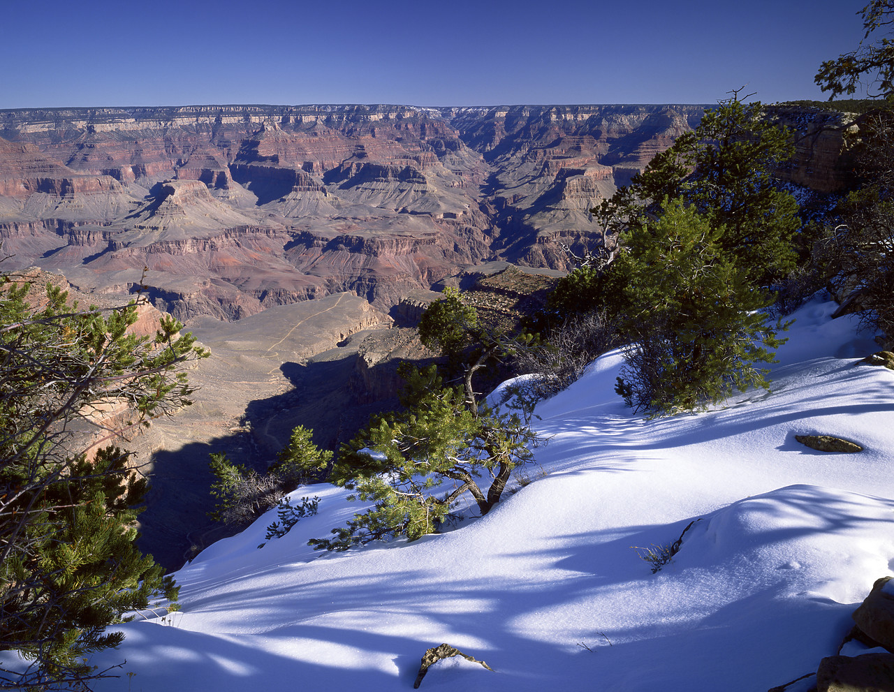 #891886-1 - Yavapai Point in Winter, Grand Canyon National Park, Arizona, USA
