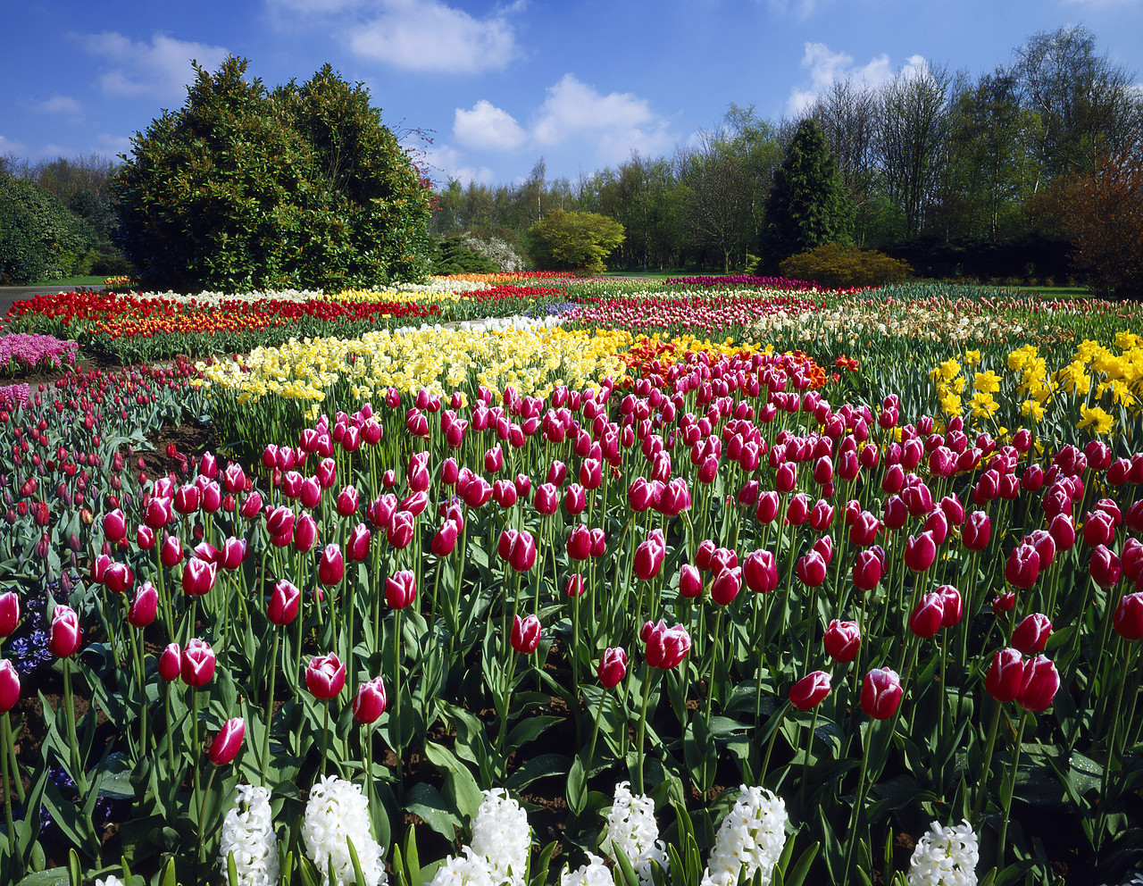 #892075-1 - Spring Gardens at Springfields, Spaulding, Lincolnshire, England
