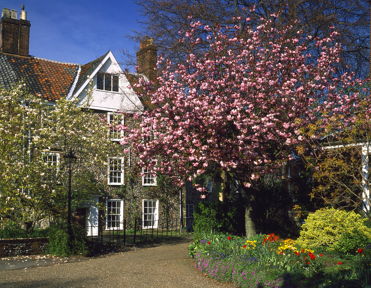#892080-2 - Cathedral Close in Spring, Norwich, Norfolk, England