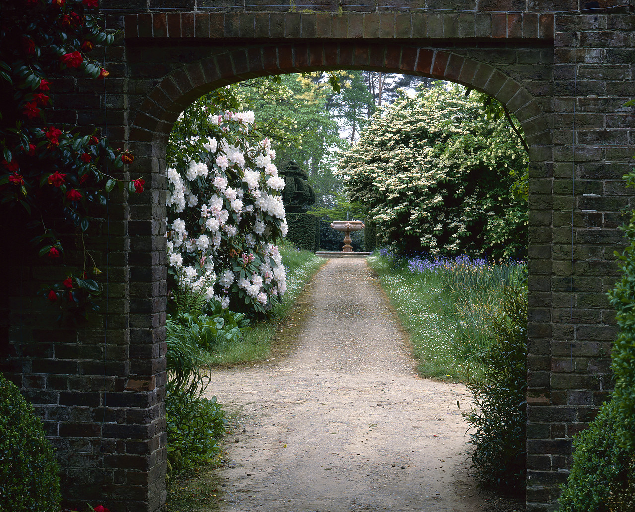 #892096 - Garden Archway, Nymans Gardens, Handcross, West Sussex, England