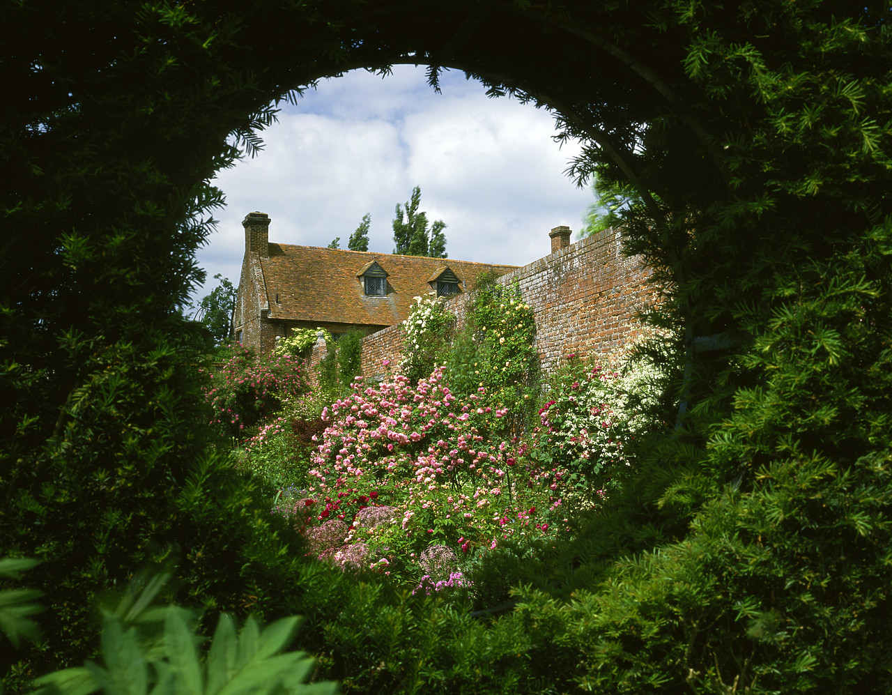 #892230-1 - Garden viewed through Yew Hedge, Sissinghurst, Kent, England