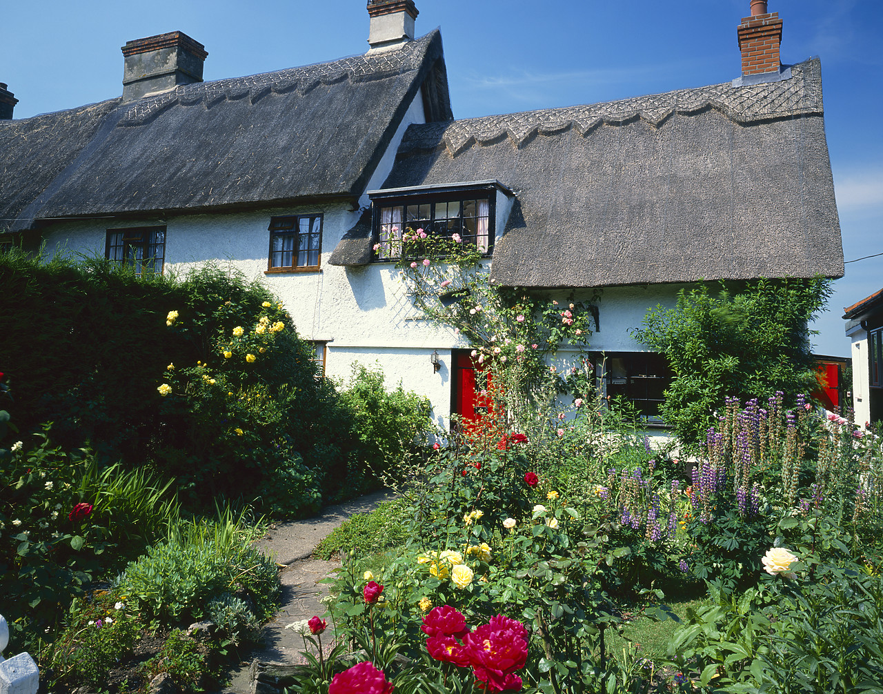 #892249 - Thatched Cottage & Garden, Stradbroke, Suffolk, England