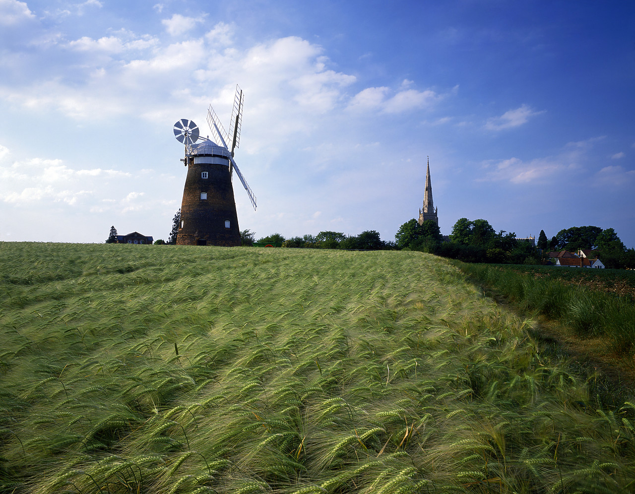 #892253 - Thaxted Mill, Thaxted, Essex, England