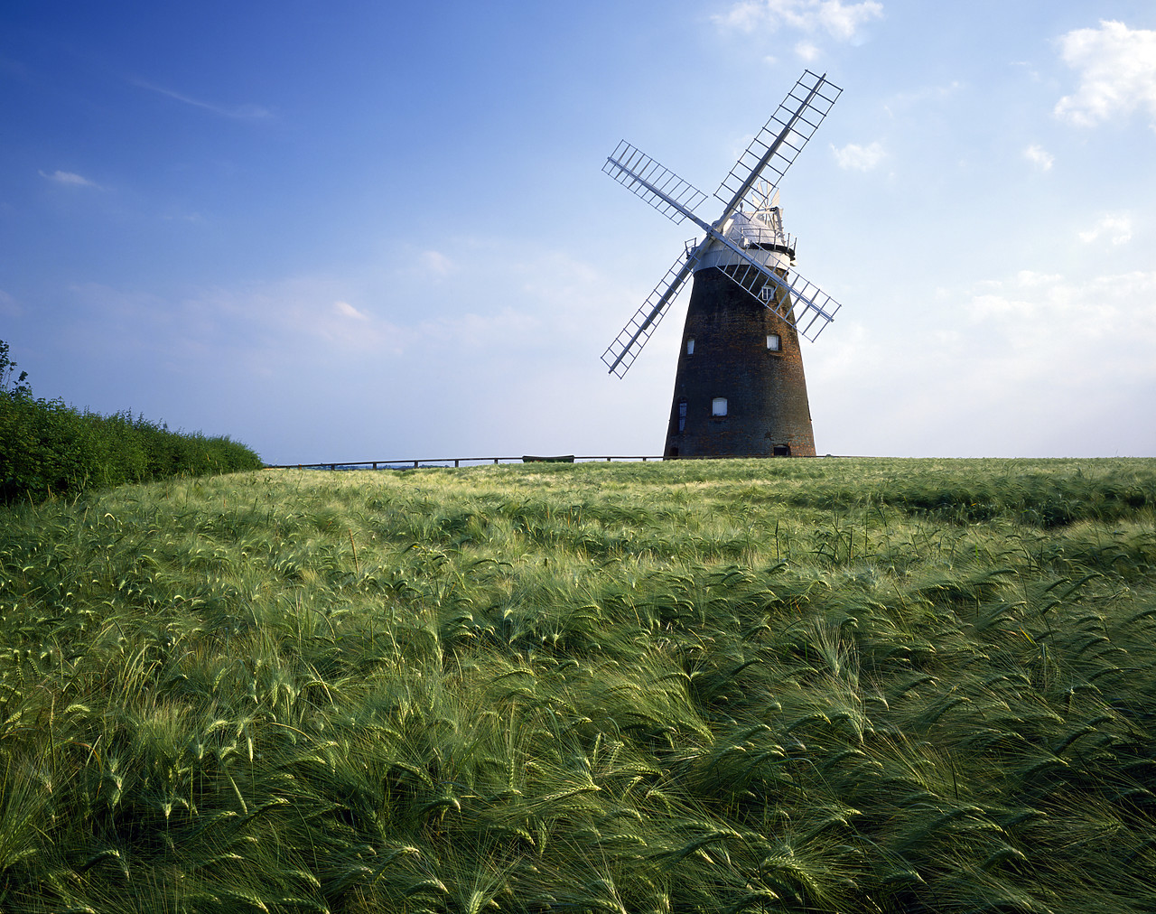 #892254-1 - Thaxted Mill, Thaxted, Essex, England
