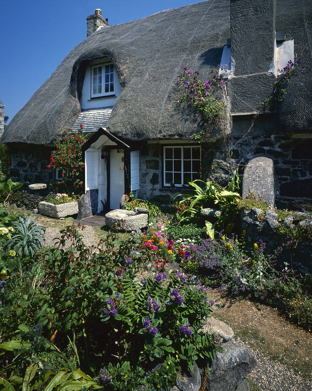 #892303-1 - Thatched Cottage & Garden, Cadgwith, Cornwall, England
