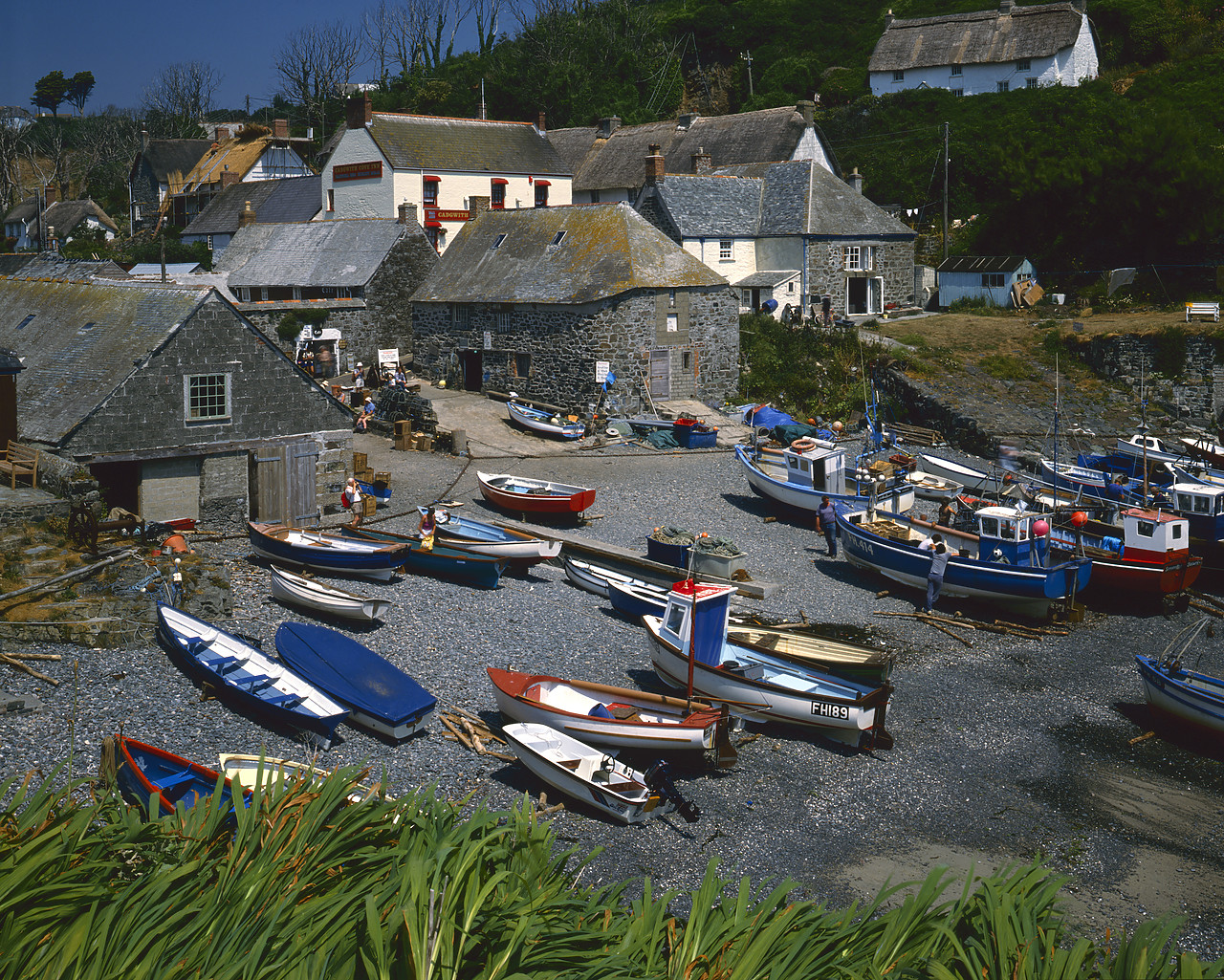 #892306-1 - Cadgwith Harbour, Lizard Head, Cornwall, England