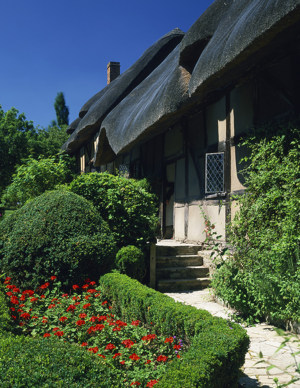 #892333-2 - Ann Hathaway's Cottage & Garden, Shottery, Warwickshire, England