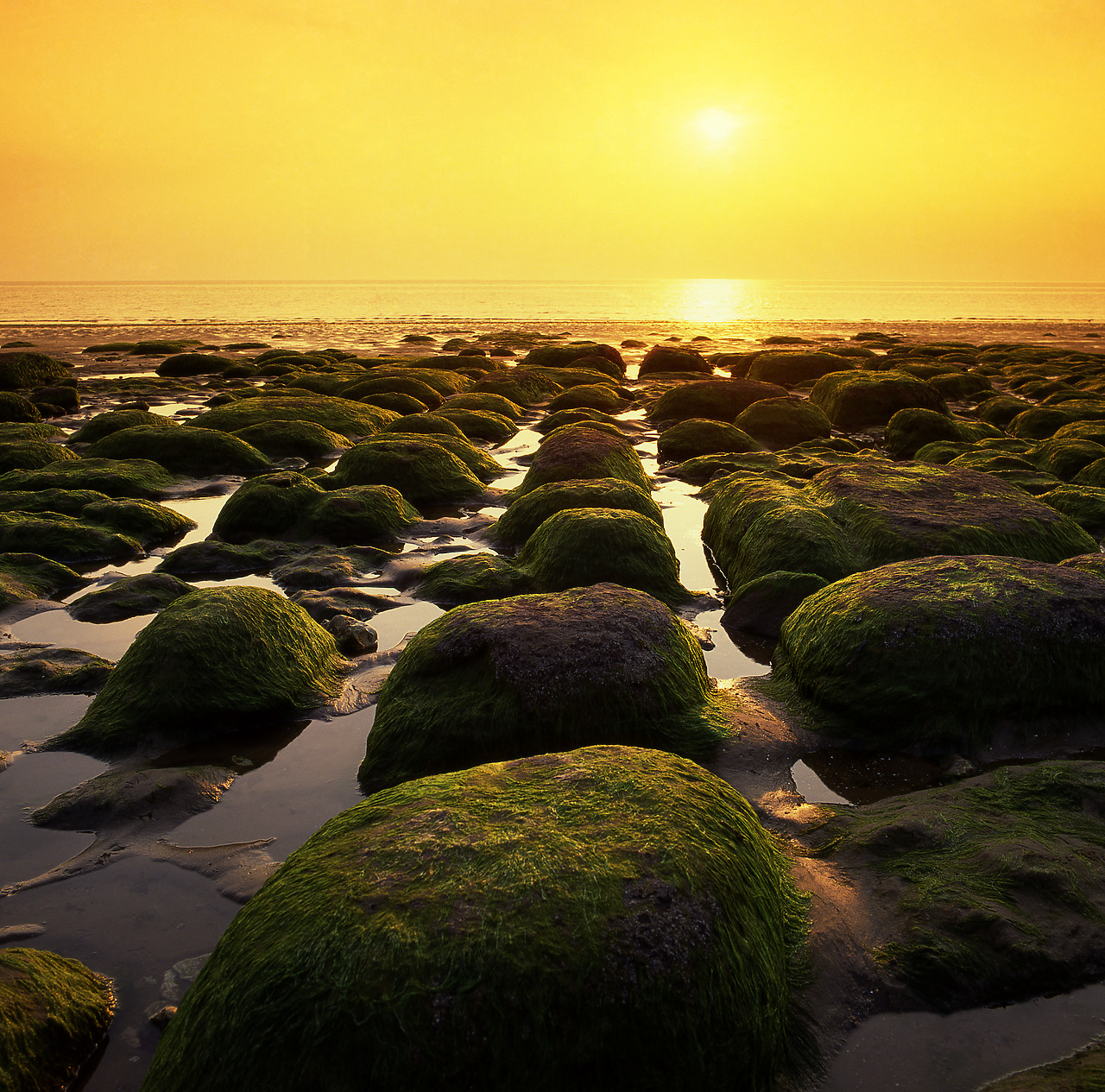 #892371-2 - Rocky Beach at Sunset, Hunstanton, Norfolk, England