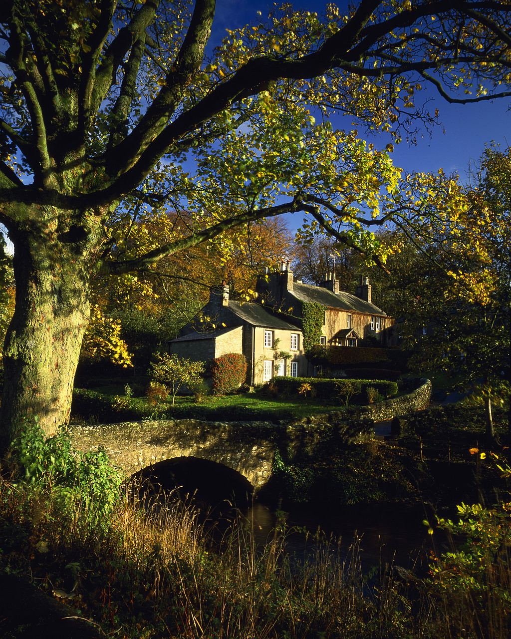#892505-4 - Stone Bridge & Cottages, Clapham, Yorkshire, England