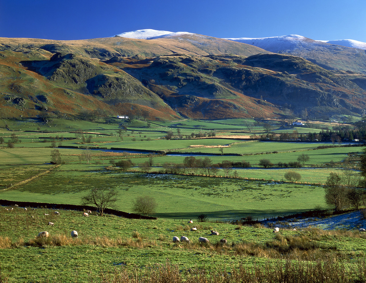 #892522-1 - View over Dale Bottom, Lake District National Park, Cumbria, England