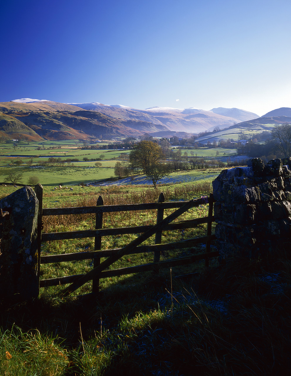 #892546-2 - Gate & Stone Wall, near Dale Bottom, Lake District National Park, Cumbria, England