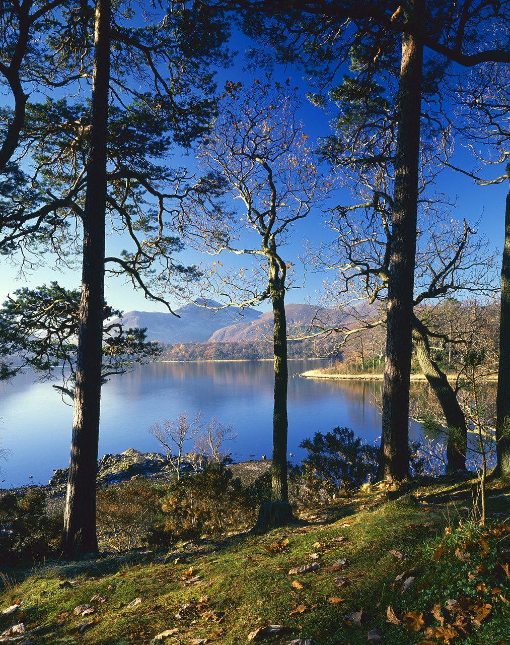 #892561 - Derwent Water, Friar's Crag, Lake District National Park, Cumbria, England