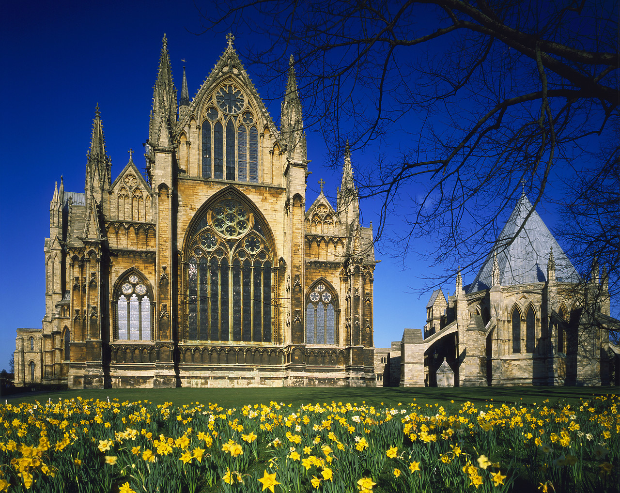 #902671-2 - Lincoln Cathedral in Spring, Lincoln, Lincolnshire, England