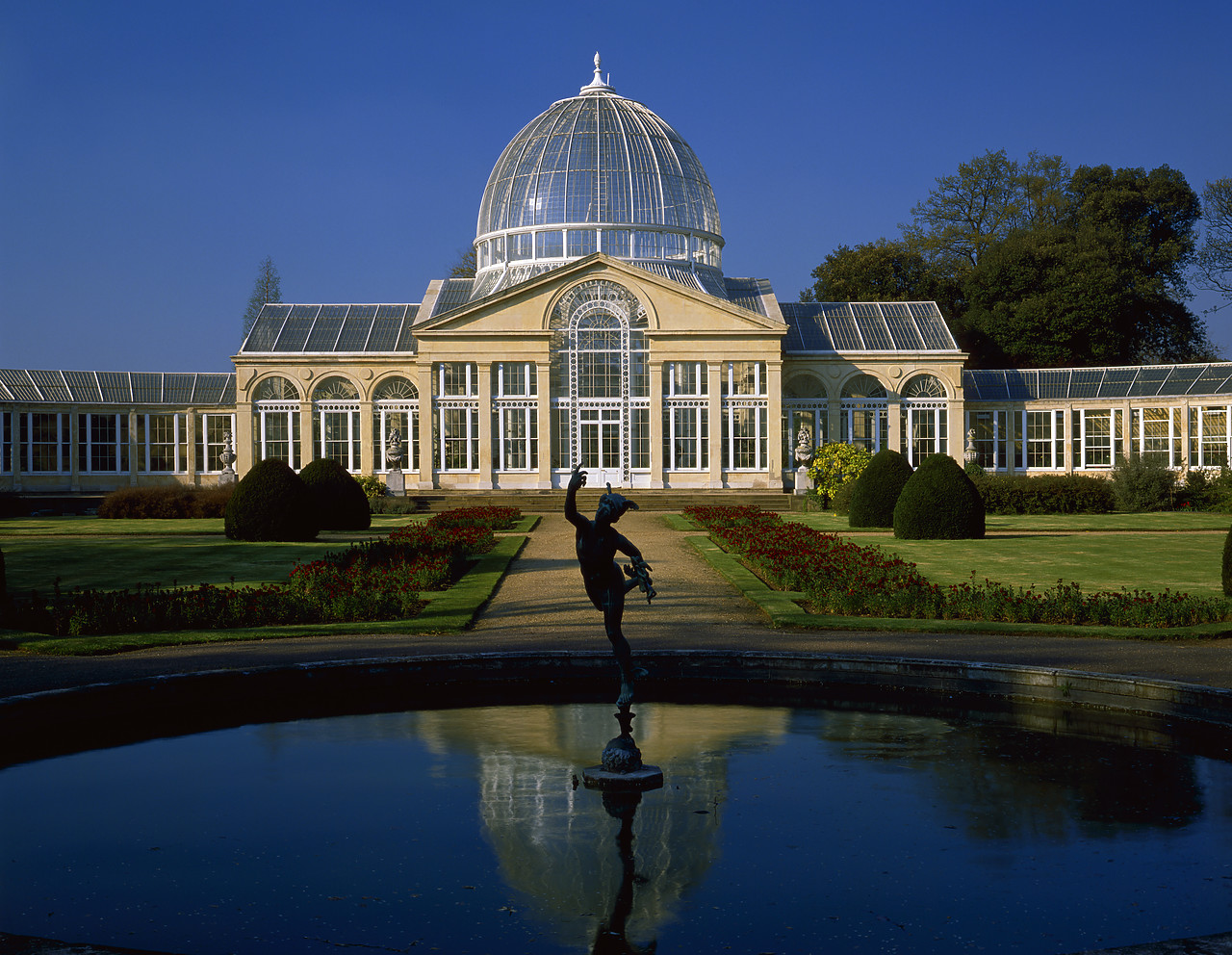 #902742-2 - Syon Park Conservatory, Brentford, Middlesex, England