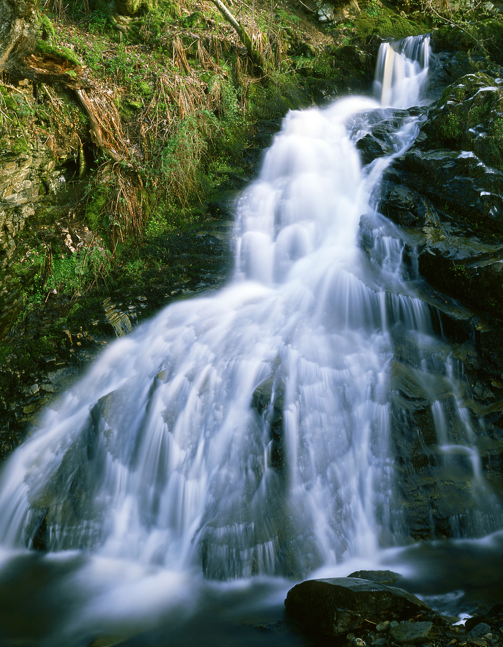 #902788-3 - Forest Waterfall, near Acharn, Tayside Region, Scotland