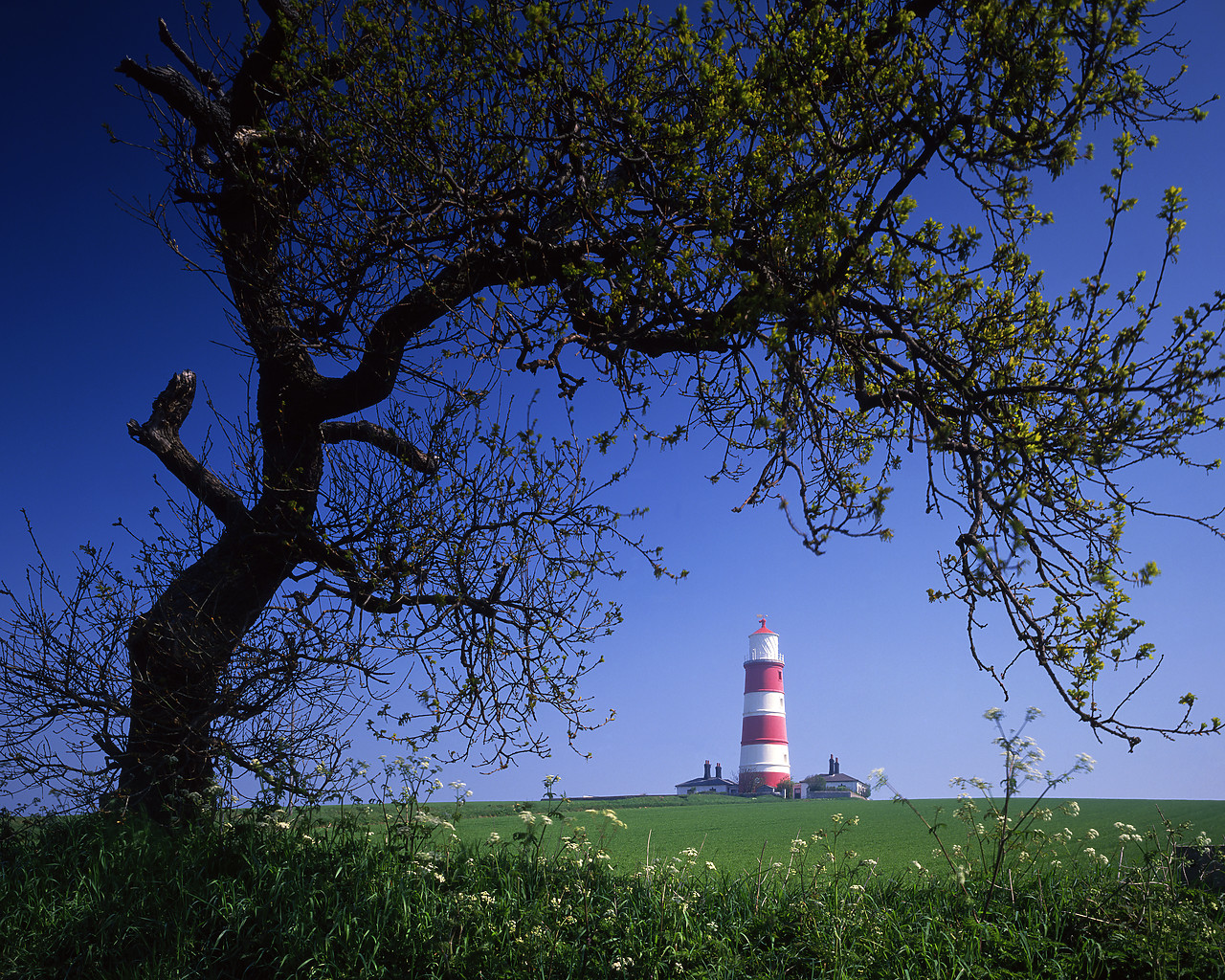 #902830 - Happisburgh Lighthouse, Norfolk, England