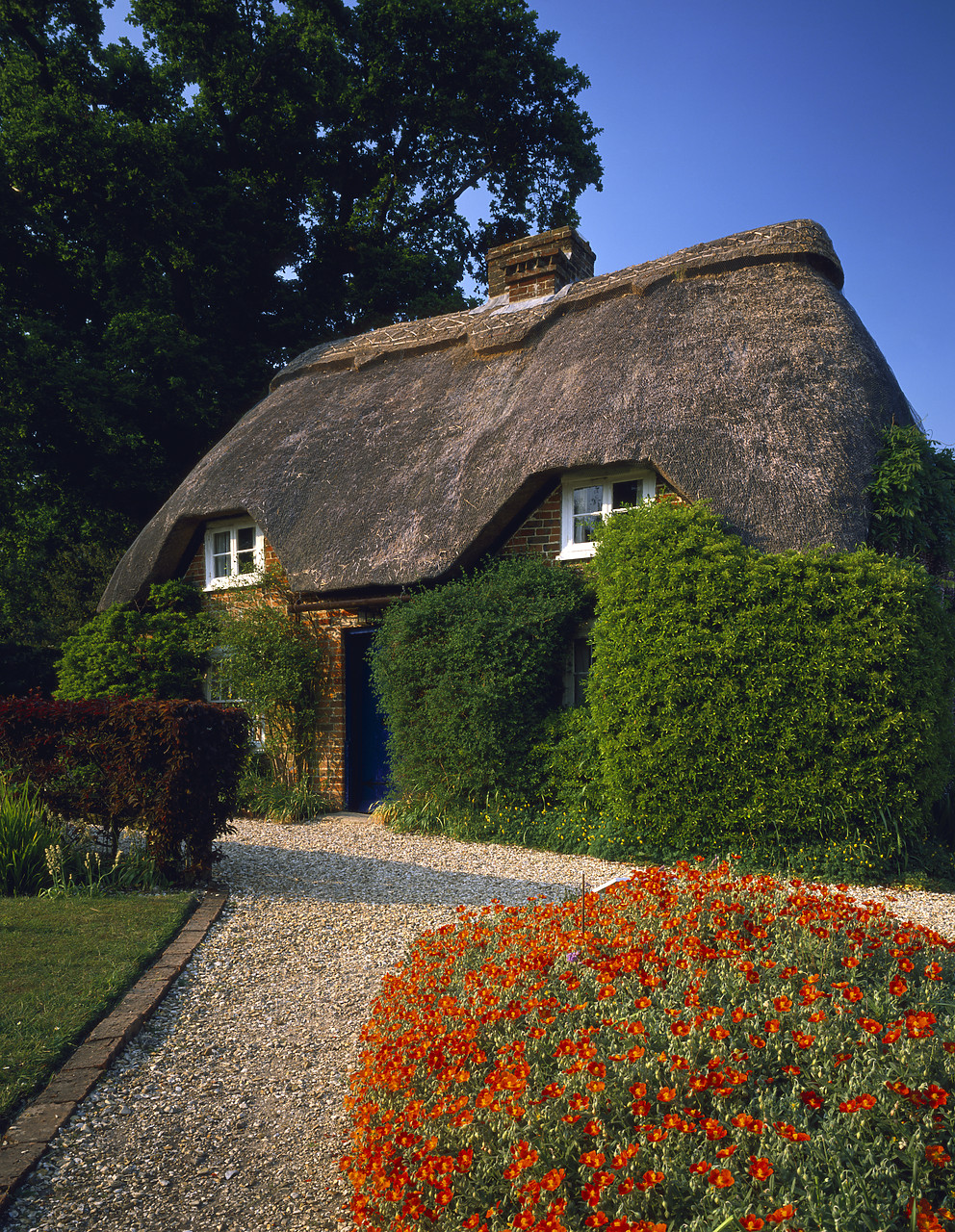 #902858-2 - Thatched Cottage, Minstead, Hampshire, England