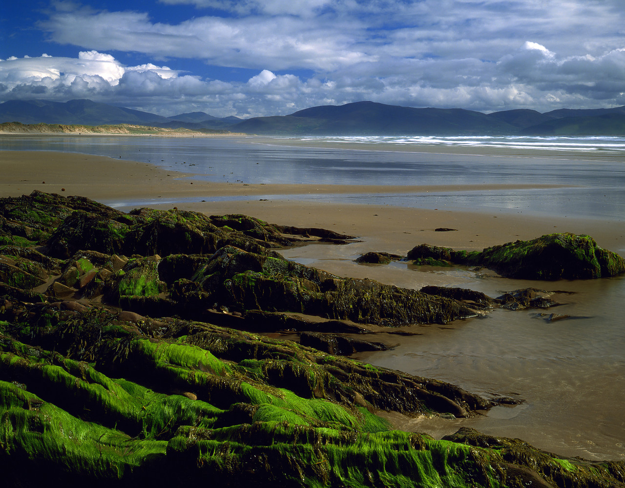 #902903-2 - Inch Beach, Dingle Peninsula, Co. Kerry, Ireland