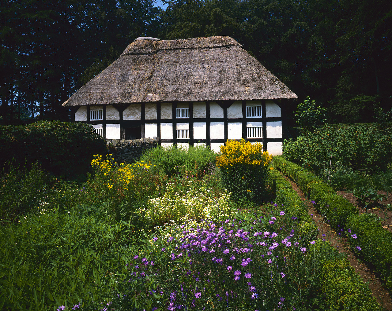#903021-2 - Timber-framed Farmhouse, Welsh Folk Museum, St. Fagans, Cardiff, Wales