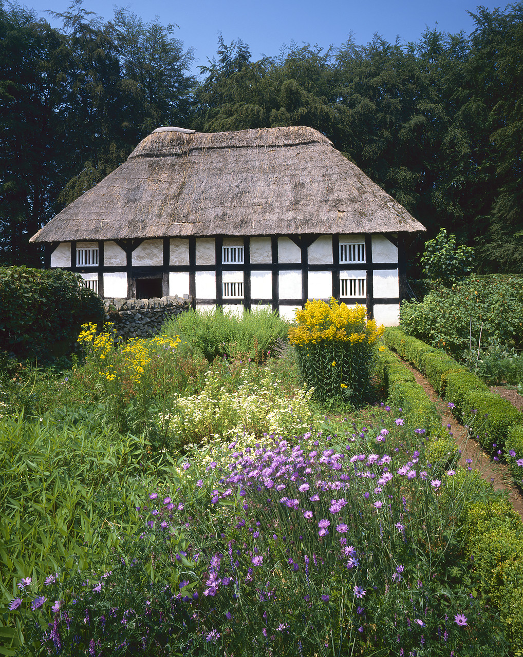 #903021-5 - Timber-framed Farmhouse, Welsh Folk Museum, St. Fagans, Cardiff, Wales