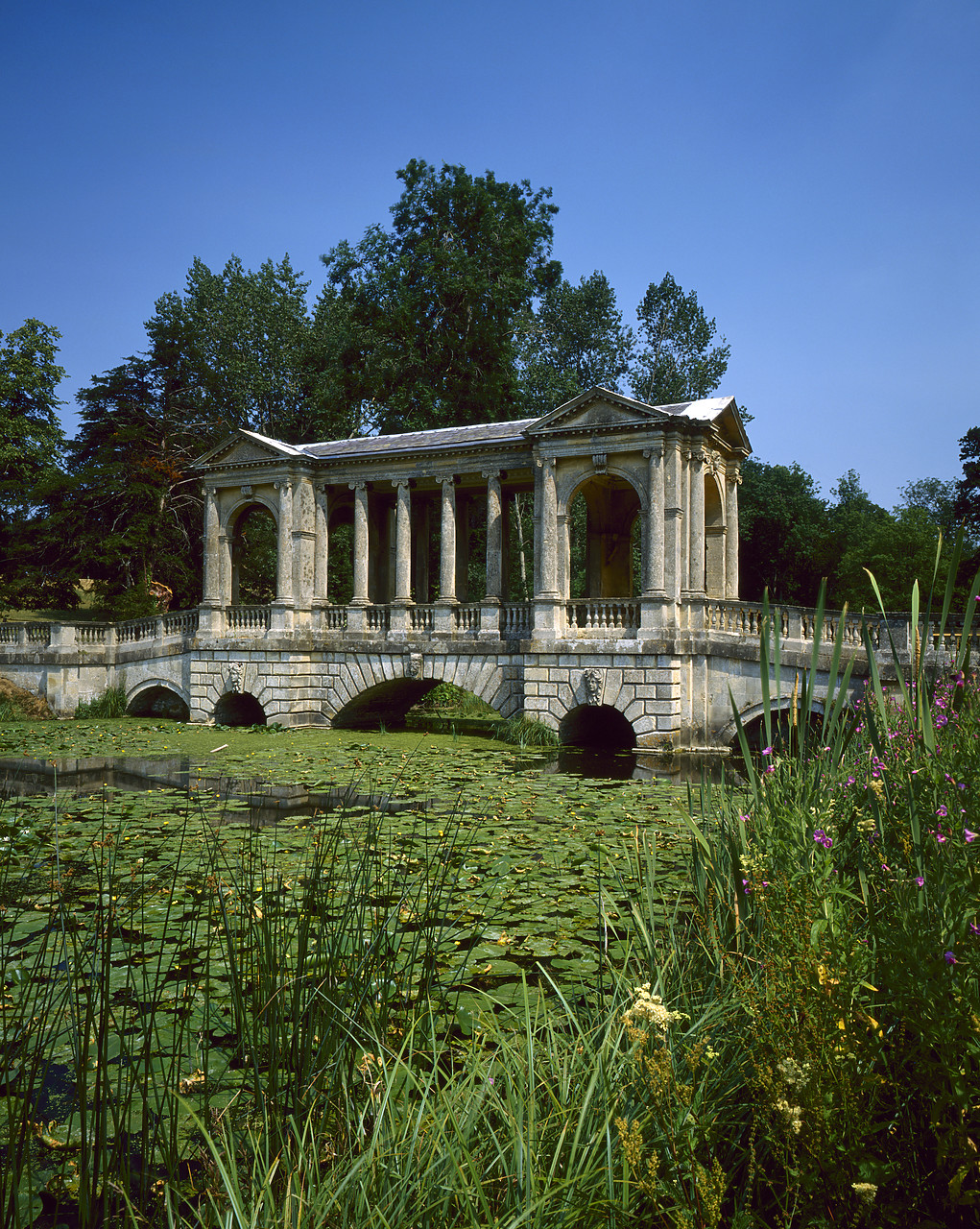 #903051-2 - Palladian Bridge, Stowe Landscape Gardens, Buckinghamshire, England