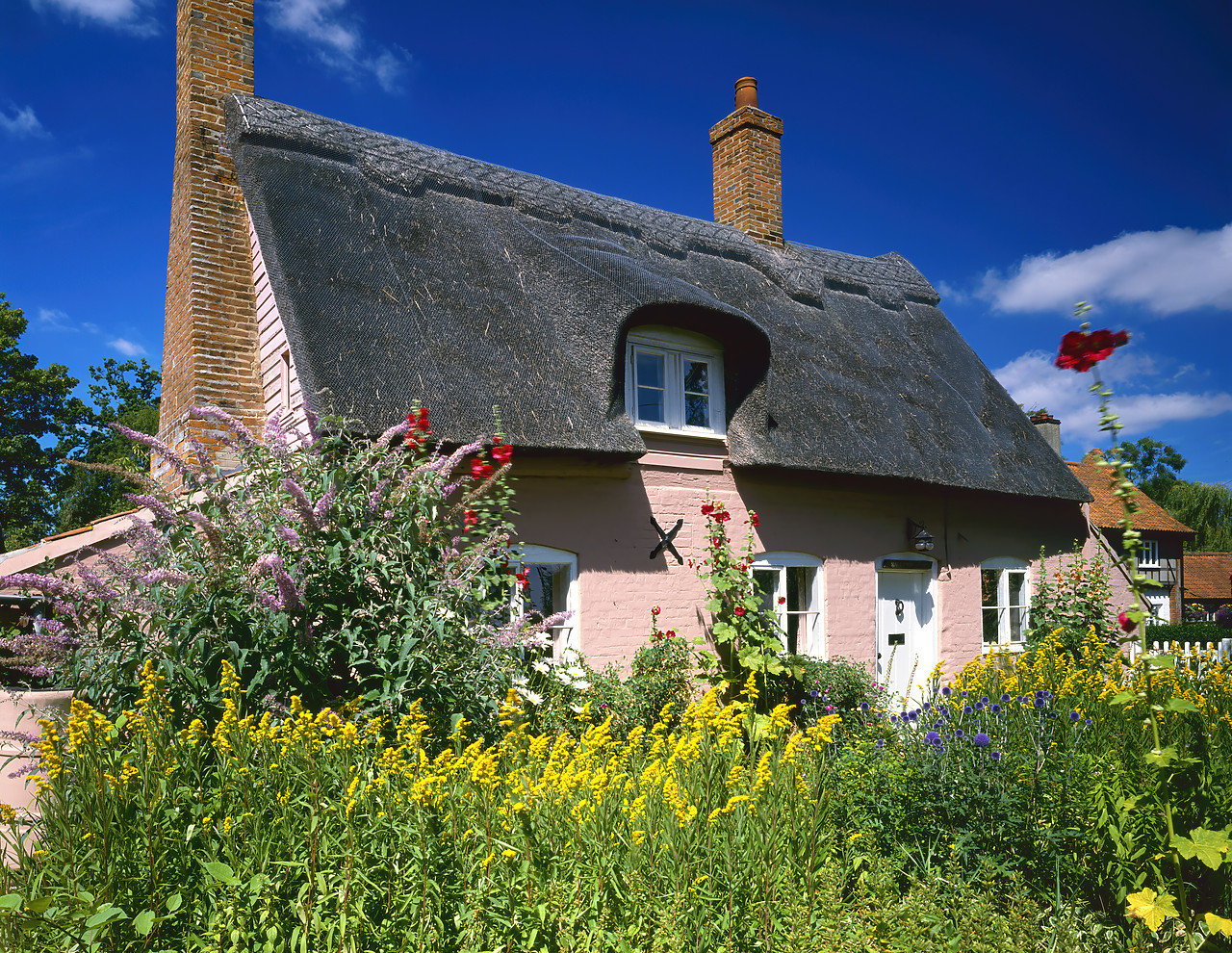 #903059-1 - Grange Fram Cottage, Bramerton, Norfolk, England